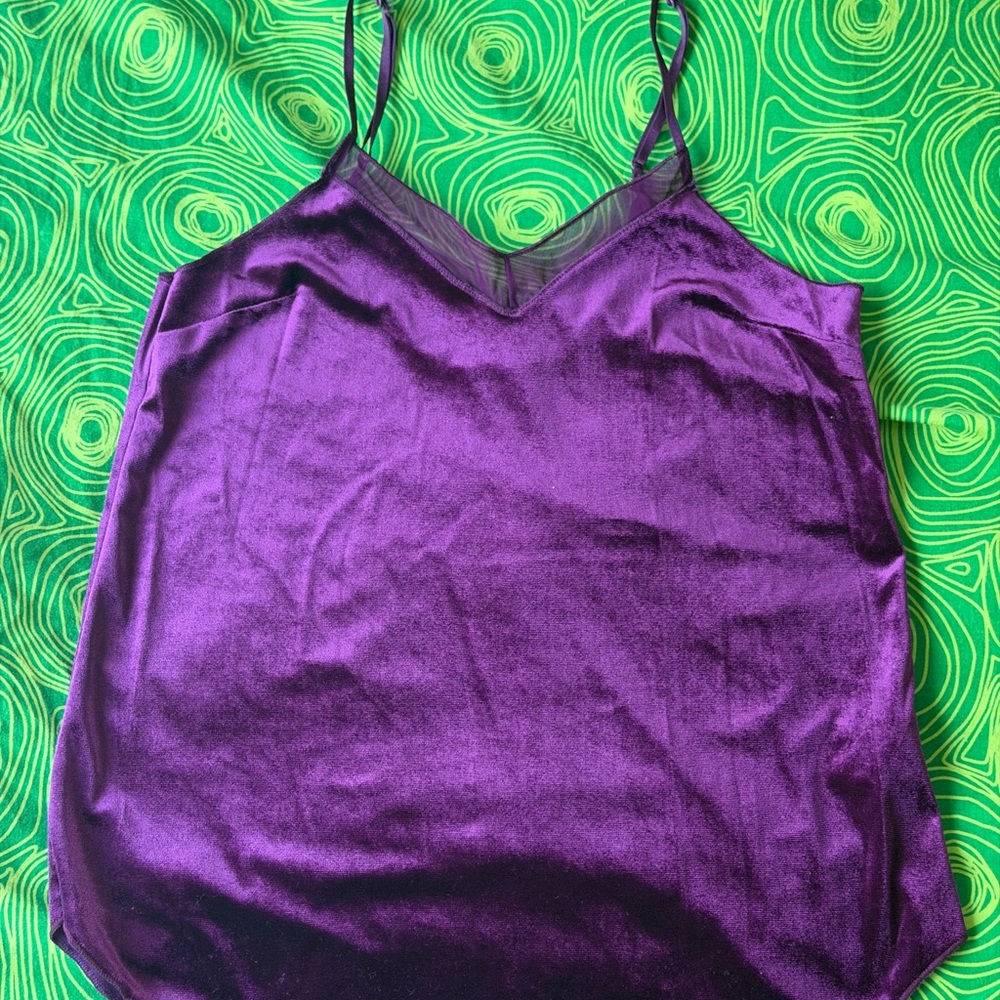 Purple Velvet Women's Top
